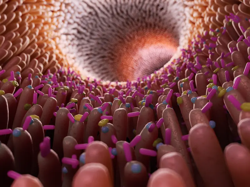 Fecal microbiota transplant for refractory GI-aGvHD: A 5-year retrospective study